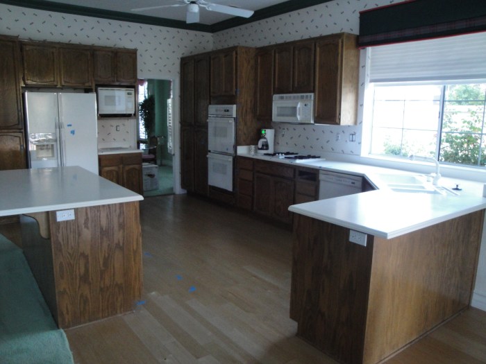 Before Kitchen-Darcy Oliver Design