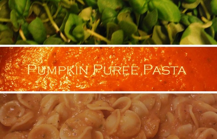 pumpkin pasta-Darcy Oliver