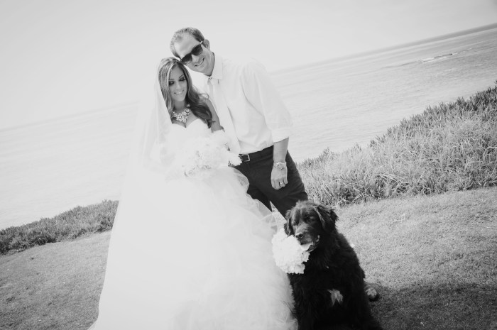 Beach Wedding, dog-Darcy Oliver Design