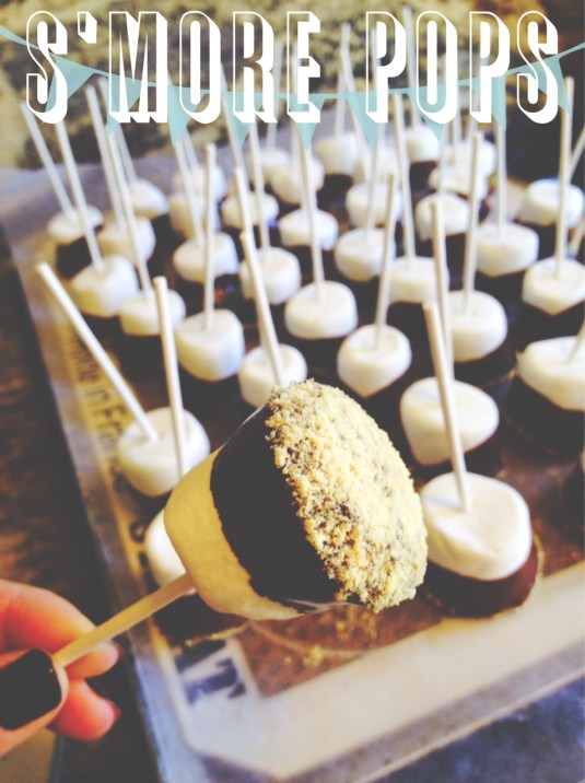 smore pops, dessert, candy, chocolate-Darcy Oliver Design