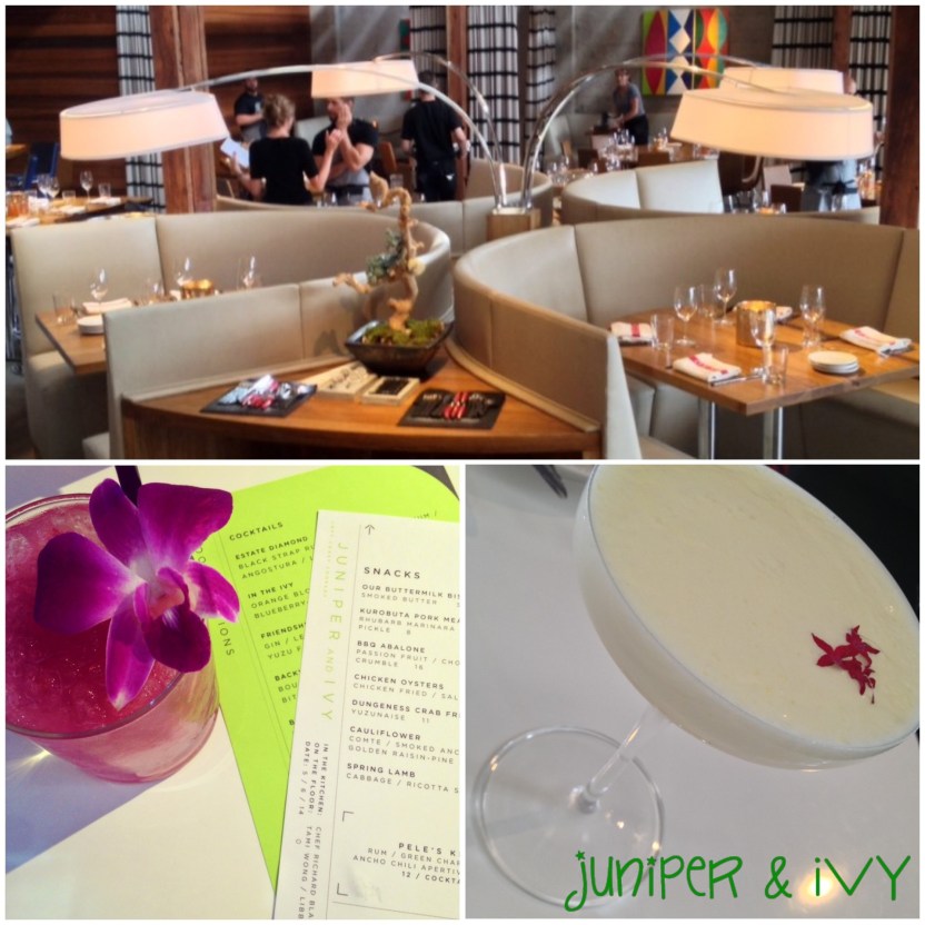 juniper and ivy cocktails, modern, interior design-Darcy Oliver Design