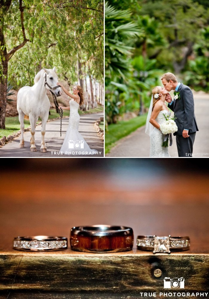 Bride, Groom, Horse, Ranch, Wedding Rings-Darcy Oliver Design