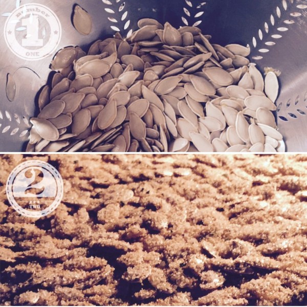 pumpkin seed steps, recipe, strain, bake-Darcy Oliver Design