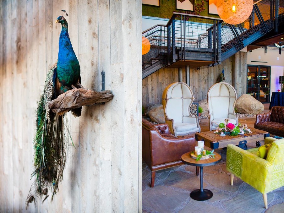 green_acre_campus_pointe