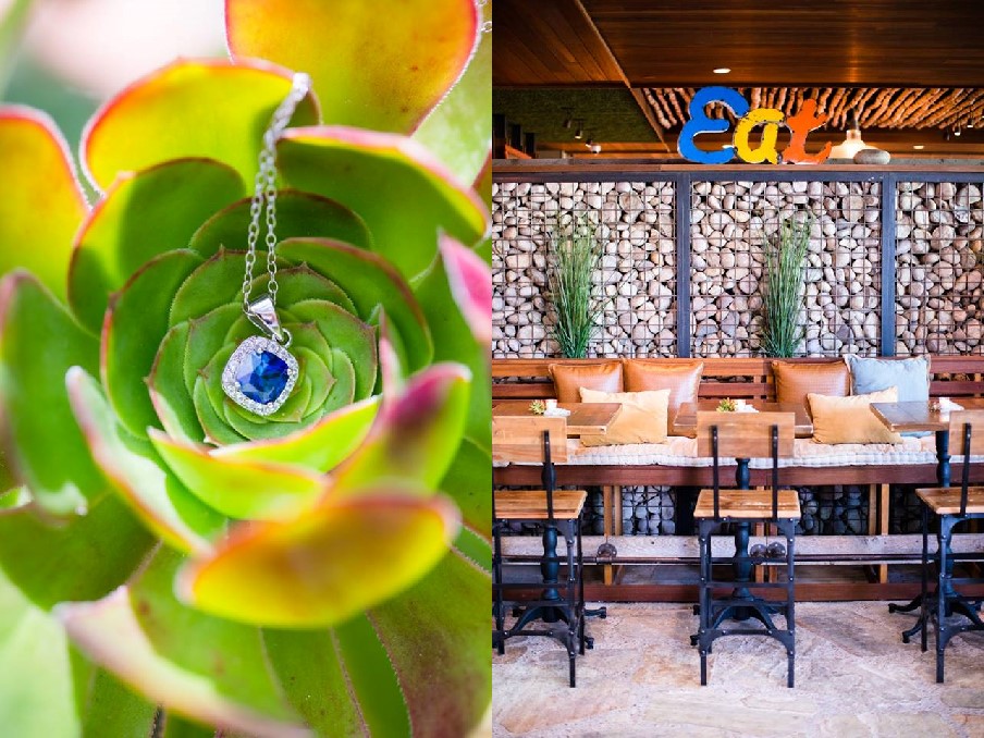 succulents_green_acre_cockatils